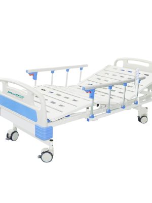 Two Function Electric Bed with Standard Accessories