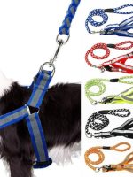 Dog Reflective Harness and Leash – M Size – Safe & Comfortable