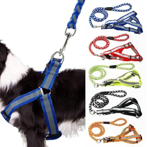 Dog Reflective Harness and Leash – M Size – Safe & Comfortable