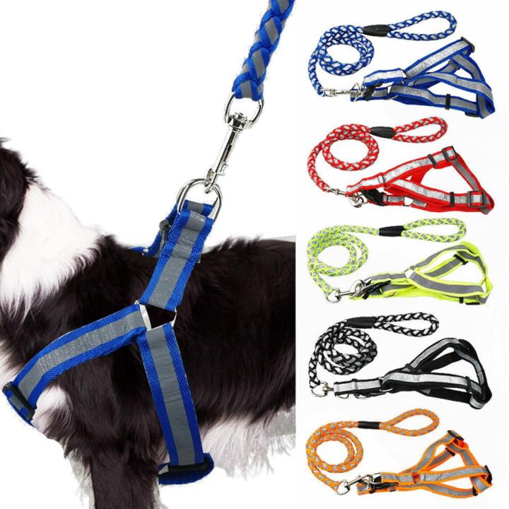 Dog Reflective Harness and Leash – M Size – Safe & Comfortable