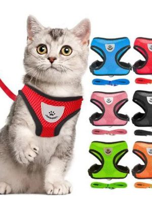 Vest Harness with Leash – S Size – Comfortable & Secure for Small Pets